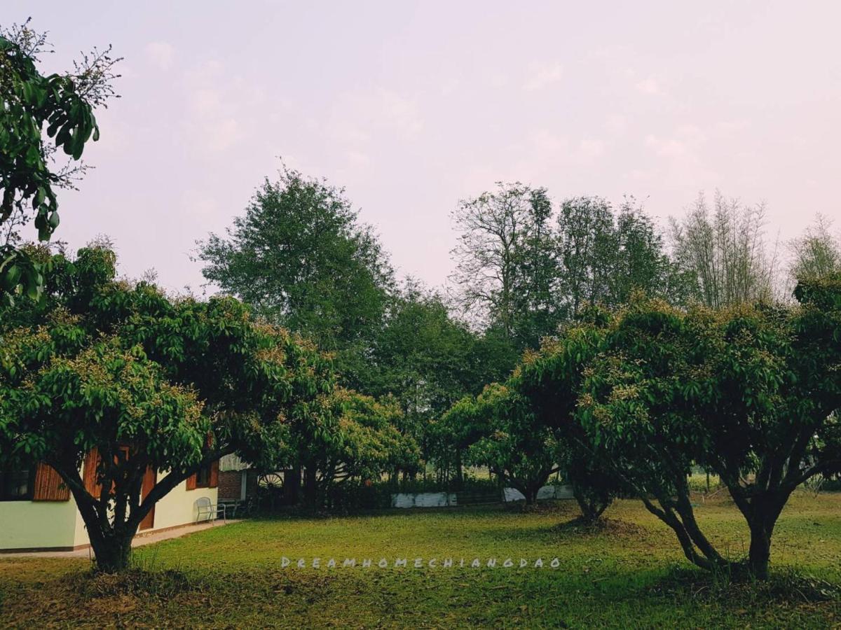 Dreamhome Chiangdao Chiang Dao Bagian luar foto