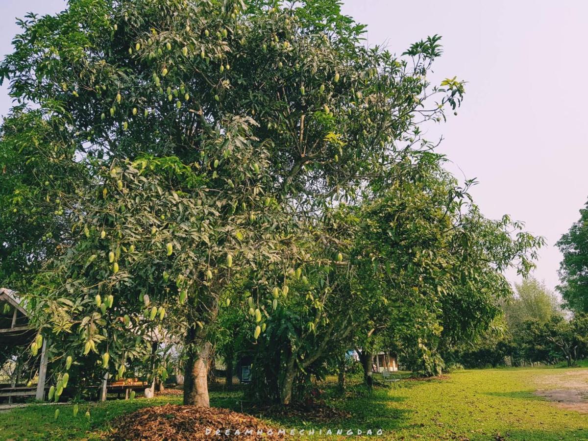 Dreamhome Chiangdao Chiang Dao Bagian luar foto