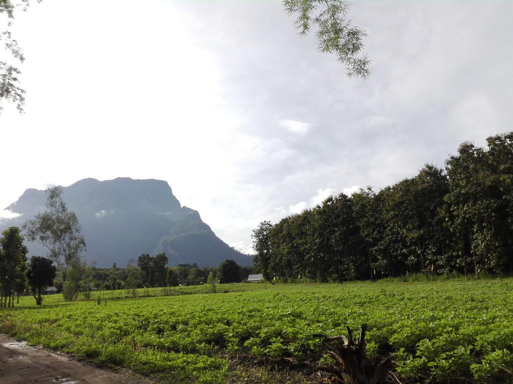 Dreamhome Chiangdao Chiang Dao Bagian luar foto