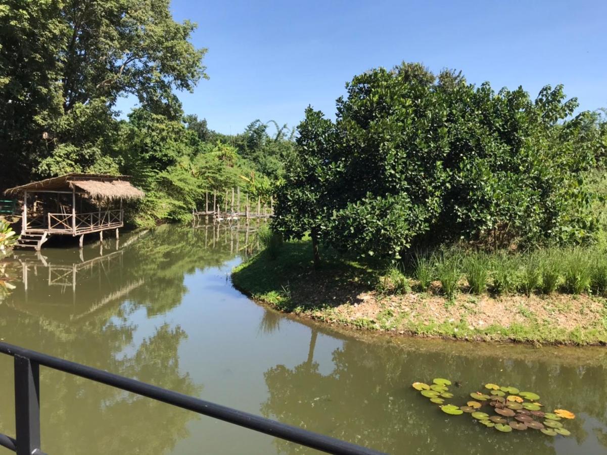 Dreamhome Chiangdao Chiang Dao Bagian luar foto